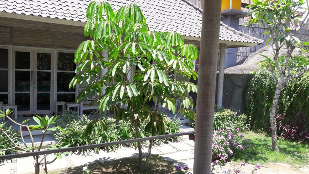 Vista Huts Lembongan Hotel Exterior foto